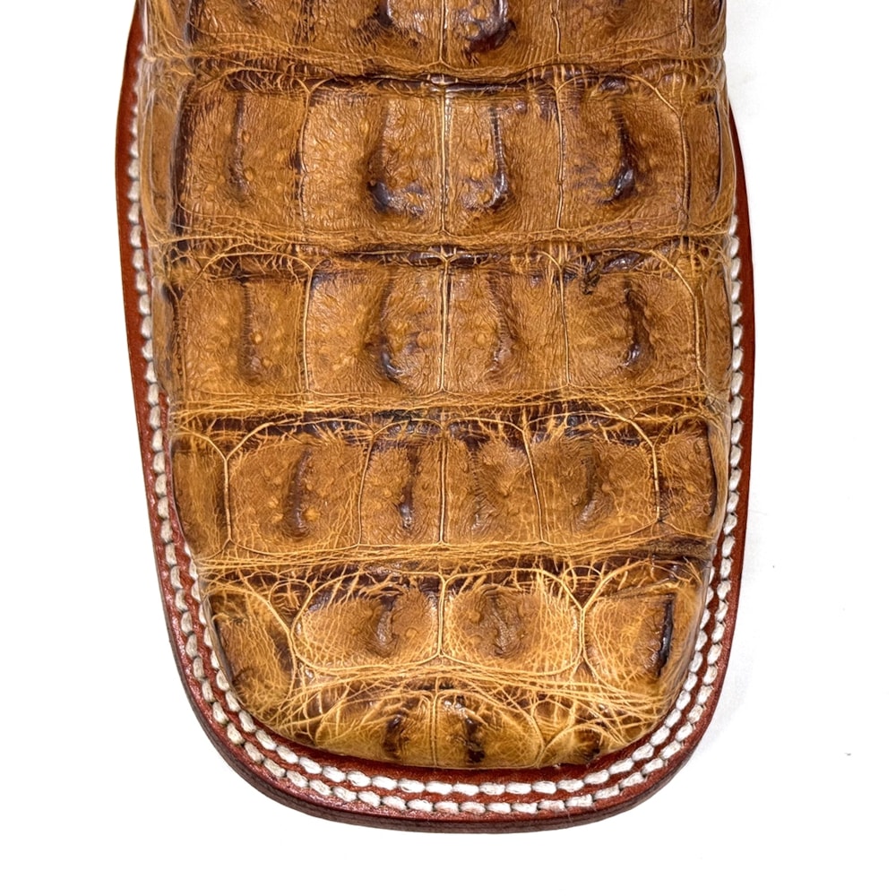 image_22e25f66-f8e0-423d-a9e1-07fde4db5562