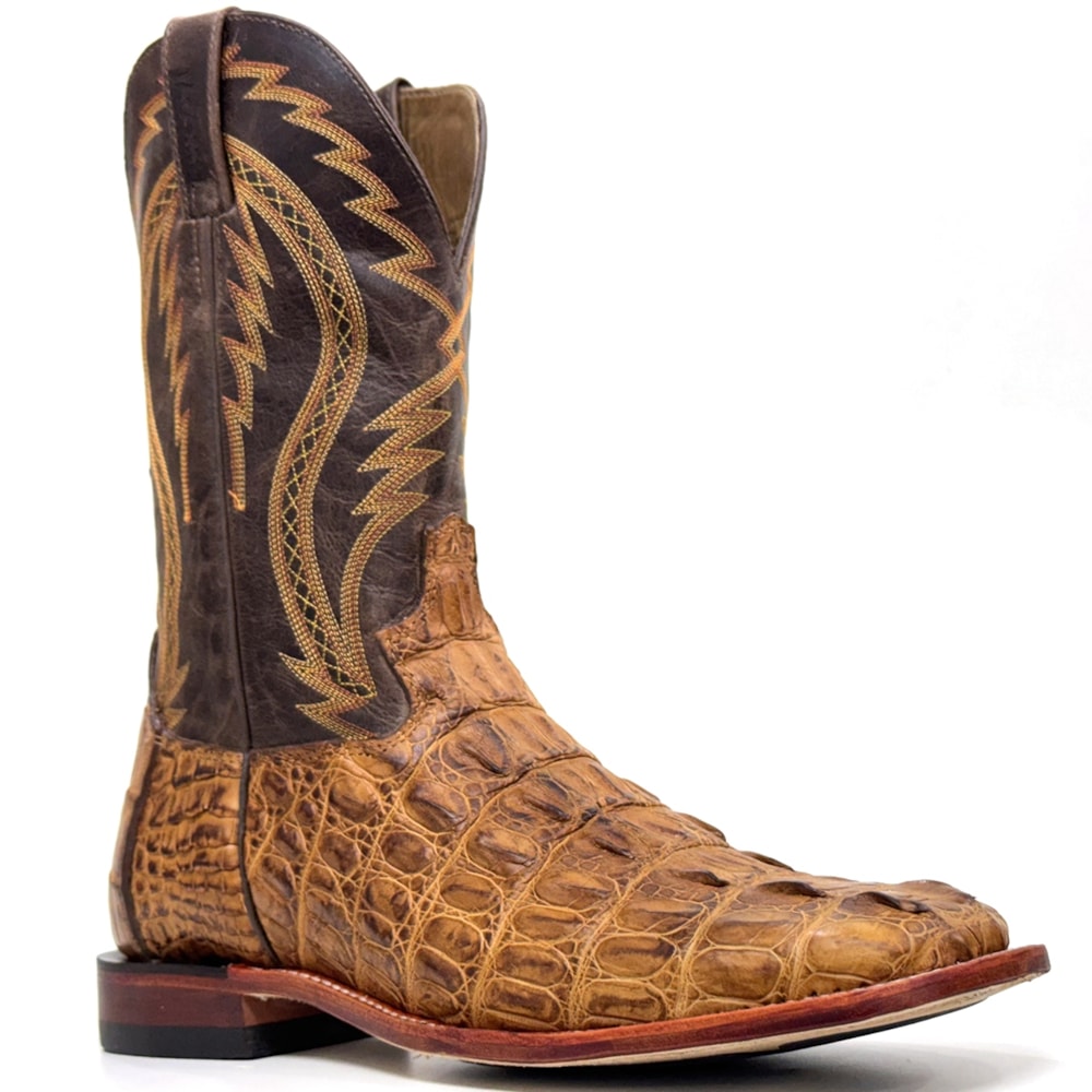 image_a88beda4-e03a-4e9f-88d8-91f6c6320314