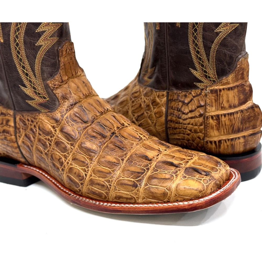 image_91457fd7-b372-47cc-9806-c572fcc0117e