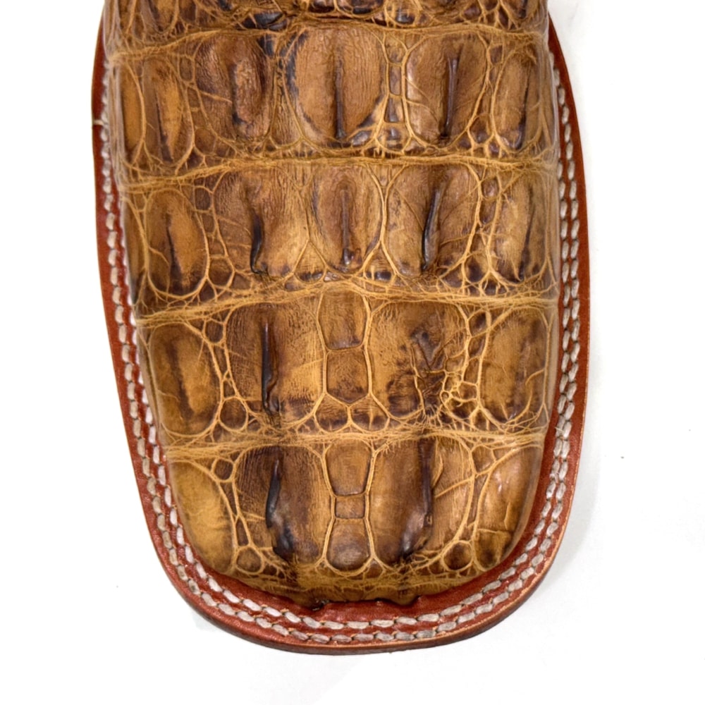 image_26200c5a-3428-4bd9-8fec-0462e28876b6