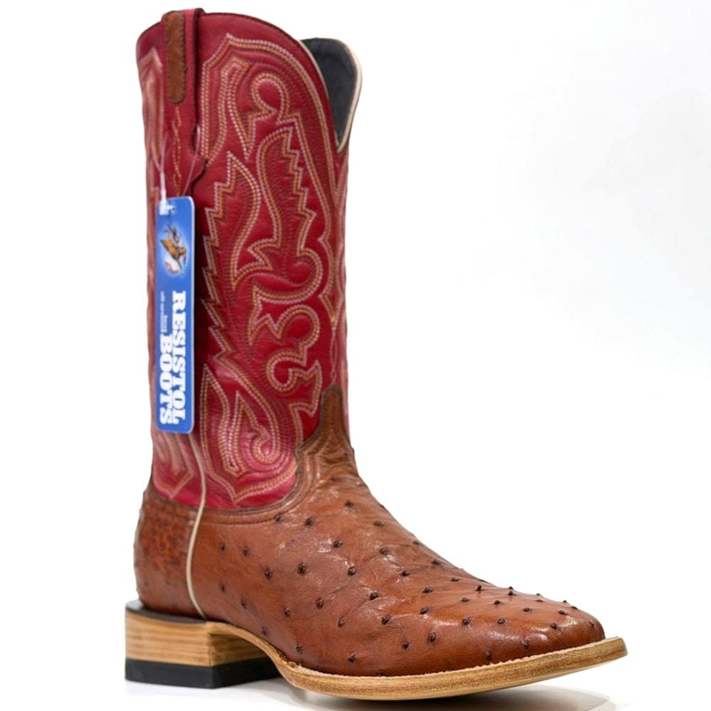 image_6a7e6ad9-47e9-4fee-b0a3-d61f6ca730f7