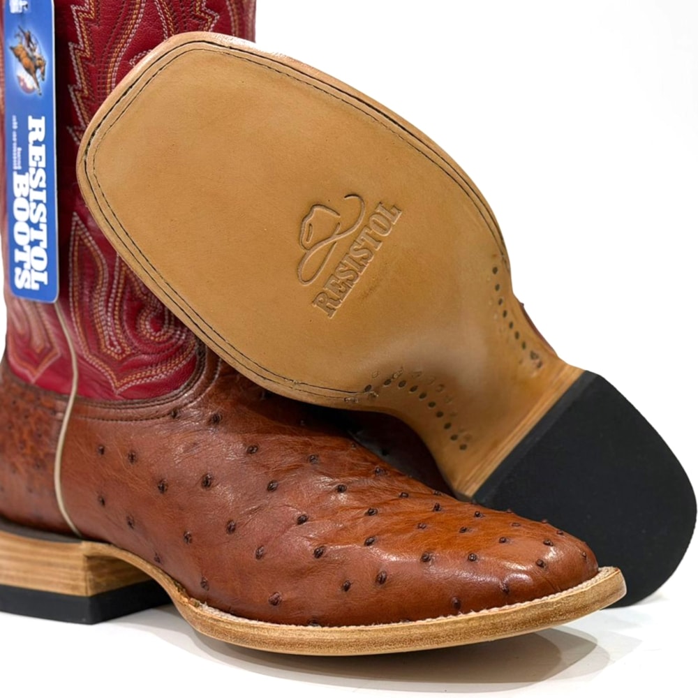 image_011e4ca4-5764-4ea8-b695-8d508bb344df