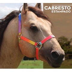 Cabresto Boots Horse Nylon Colorido 1229 BH-67