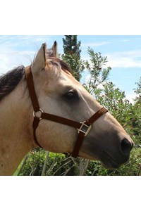 Cabresto Boots Horse Nylon Marrom 452