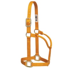 Cabresto Weaver Leather Importado Amarelo 35-1002