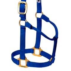 Cabresto Weaver Leather Importado Azul Royal 35-1002