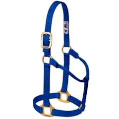 Cabresto Weaver Leather Importado Azul Royal 35-1002