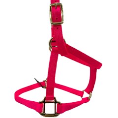 Cabresto Weaver Leather Importado Pink Neon 35-1002