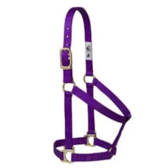 Cabresto Weaver Leather Importado Roxo 35-7405