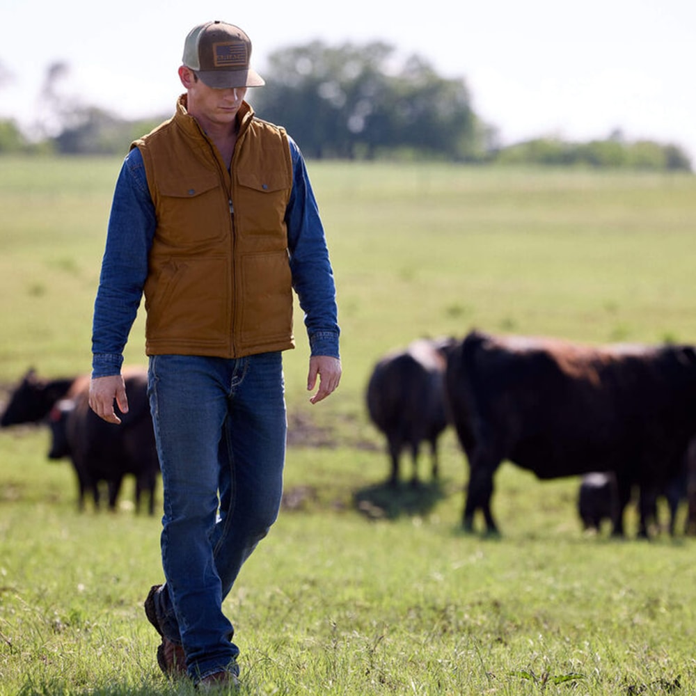 image_018a1625-94e5-45ad-8b9e-092e3132305c