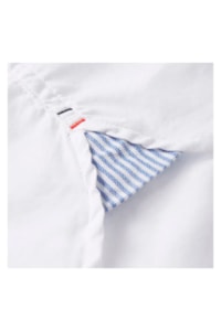 Camisa Tommy Hilfier THMW0MW25035-THYBR
