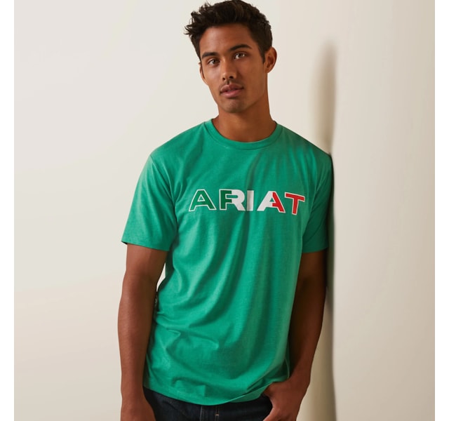 Camiseta Ariat 10043067