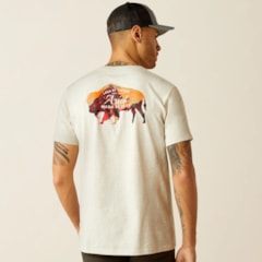 Camiseta Ariat 10052571