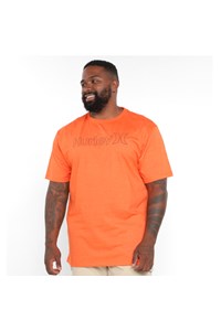Camiseta Hurley HYTS010523G-0800