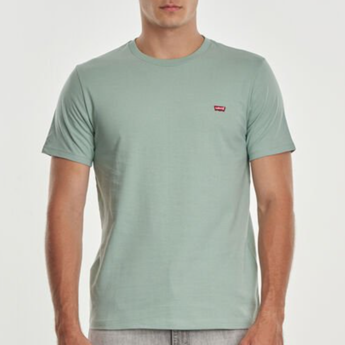 camisa levis verde