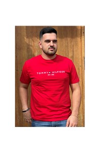 Camiseta Tommy Hilfiger ABMW0MW11797-THXLG