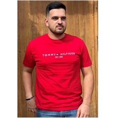 Camiseta Tommy Hilfiger ABMW0MW11797-THXLG
