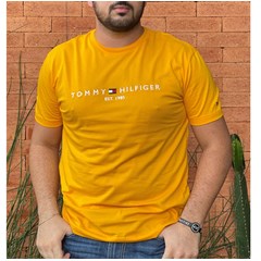 Camiseta Tommy Hilfiger ABMW0MW11797-THZEW