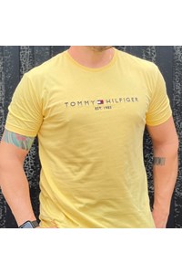 Camiseta Tommy Hilfiger THMW0MW22210-THZEJ