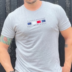Camiseta Tommy Hilfiger THMW0MW22217-THP91