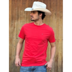 Camiseta Tommy Hilfiger THMW0MW27120-THSNE
