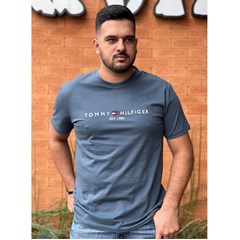 Camiseta Tommy Hilfiger THMW0MW27123-THDA4