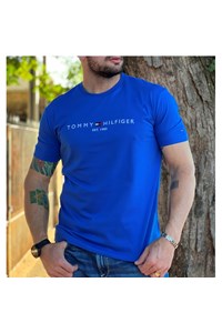Camiseta Tommy Hilfiger THMW0MW33408-THC66
