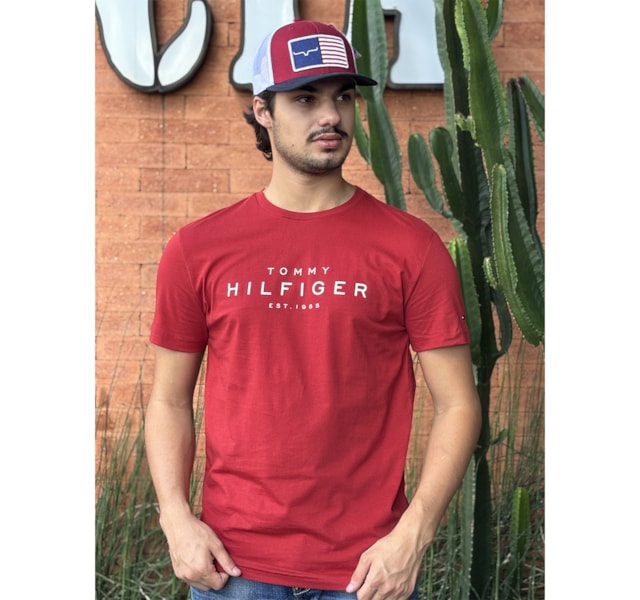 Camiseta Tommy Hilfiger THMW0MW39872-THXLD