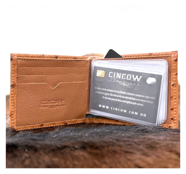 image_417feafd-6ce3-425d-9fbc-e2e9f7d7a3eb