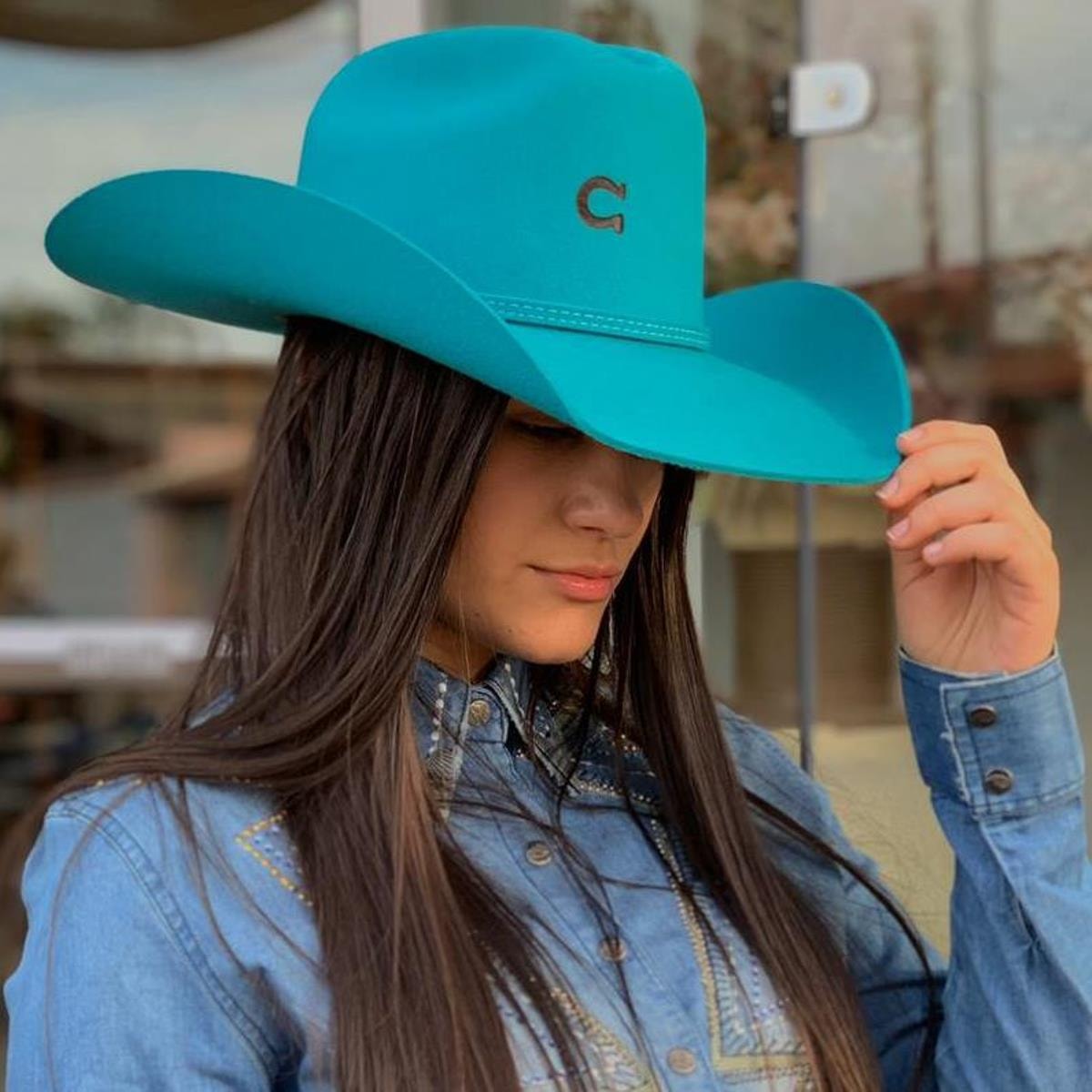 Charlie 1 Horse - Crisecia