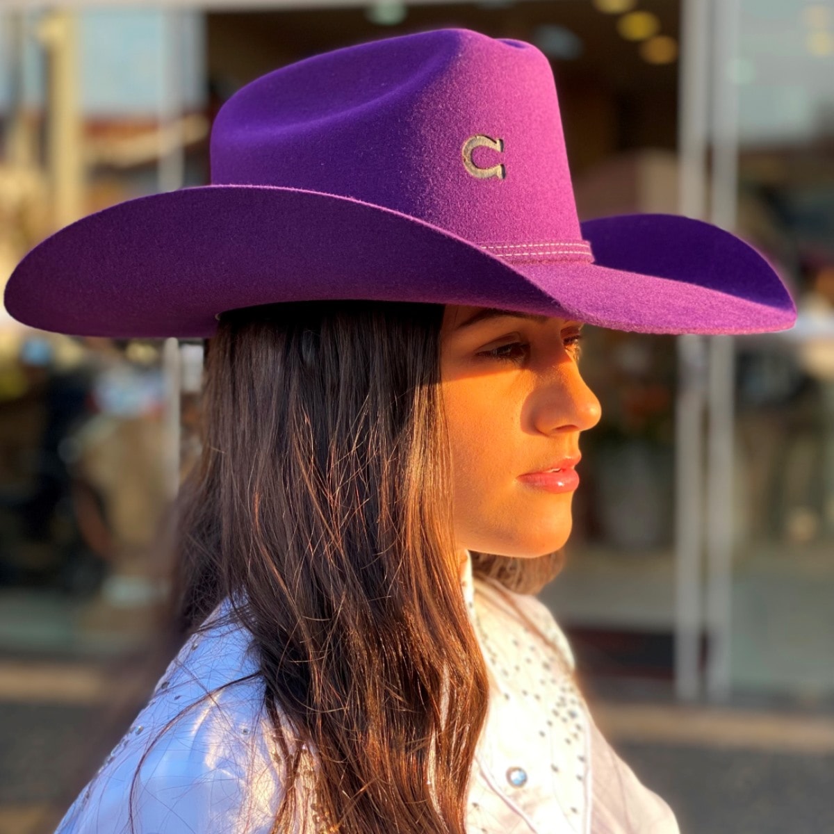 Charlie 1 Horse - Crisecia