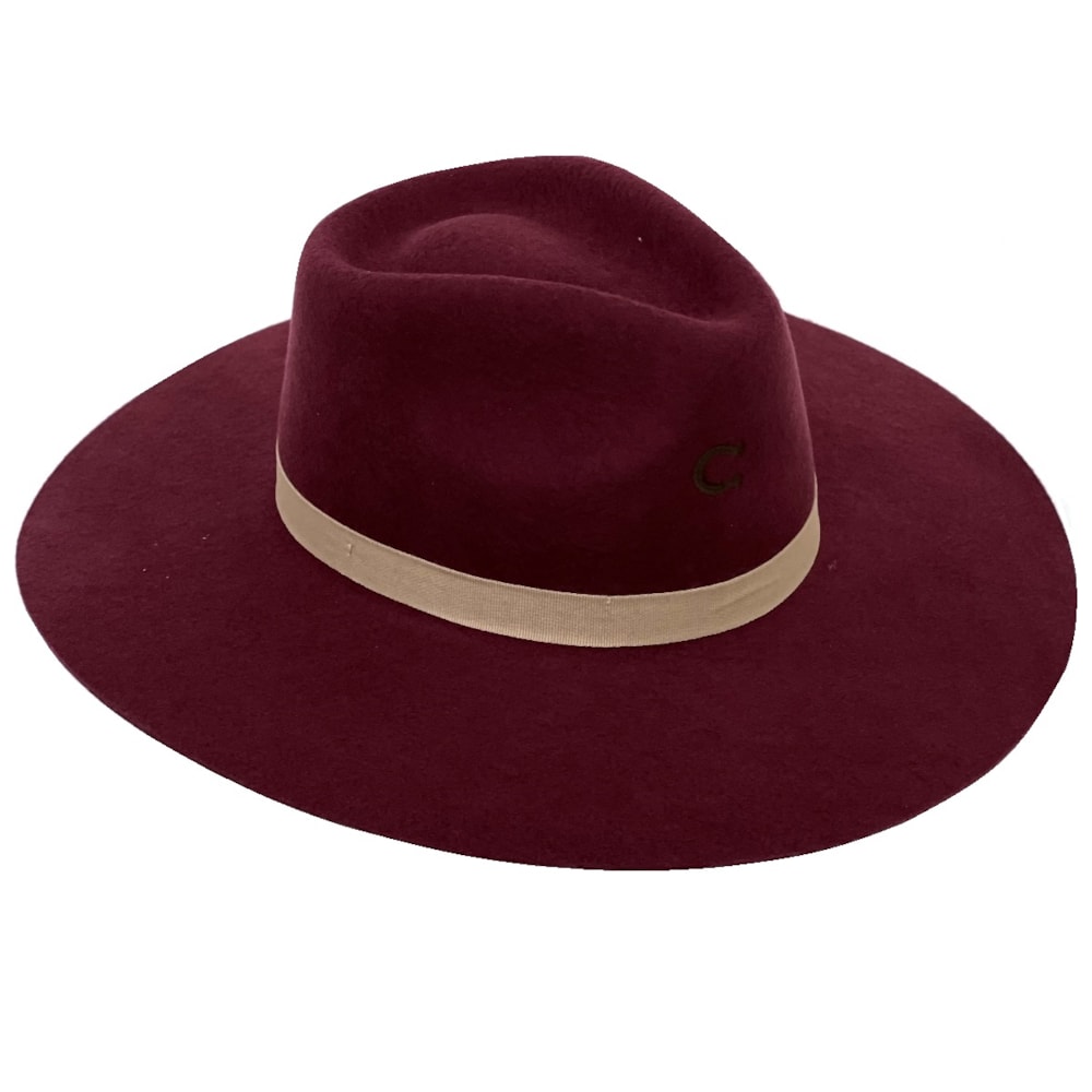 image_fe04a182-aaaf-4da9-8199-a360b6d65137