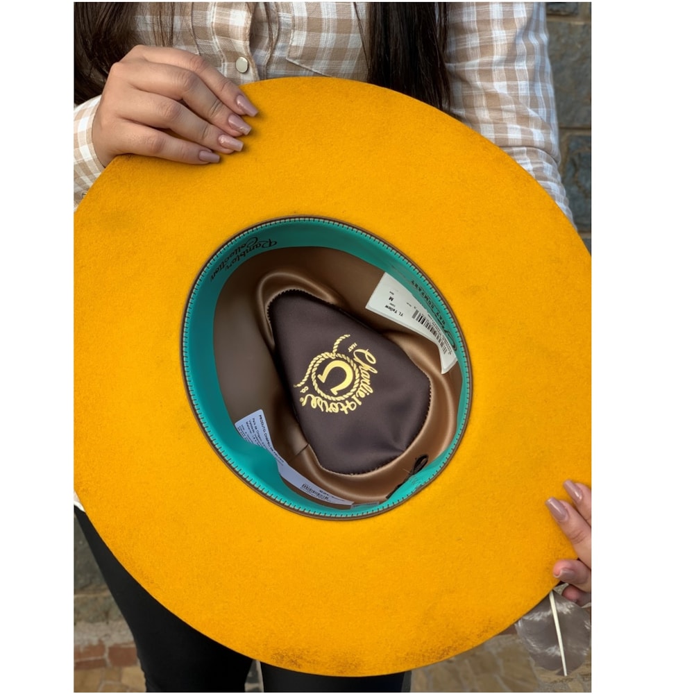 image_4c1e9dee-6a46-4426-b974-d76c1dcbbb17