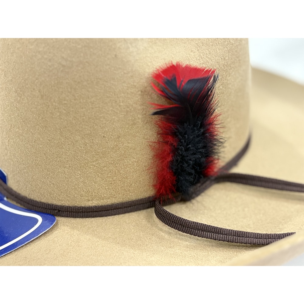 image_5eaf6e24-c0dc-4761-a75c-8719aa3457c1