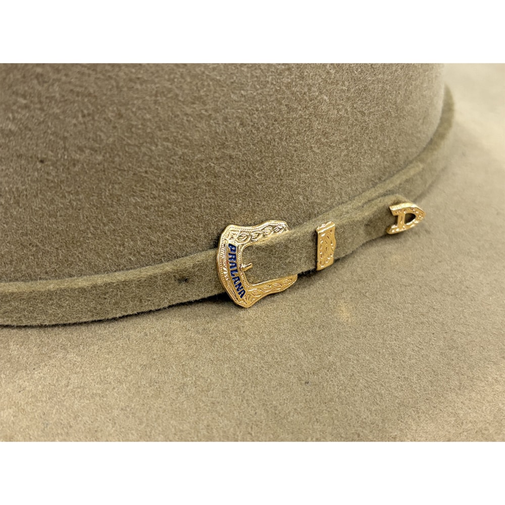 image_d6b4ce68-46ff-4be6-b334-0865a55f14db