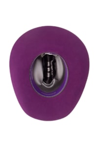Chapéu Resistol Feltro Violet AC