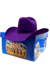Chapéu Resistol Feltro Violet AC