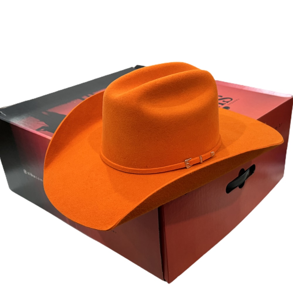 image_5f59b4c1-f71d-470c-b362-31f00801369c