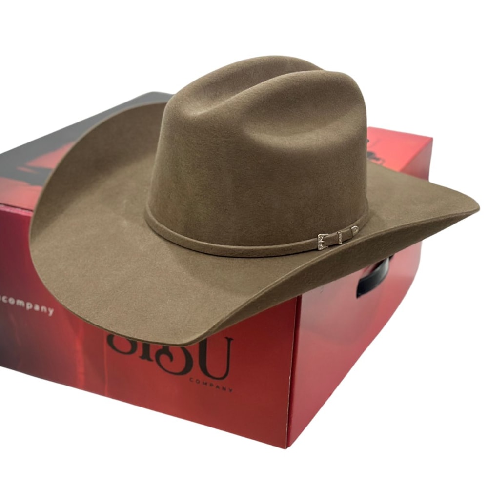 image_530f38ee-b9e7-4c5b-a0ae-52eb20f850b4