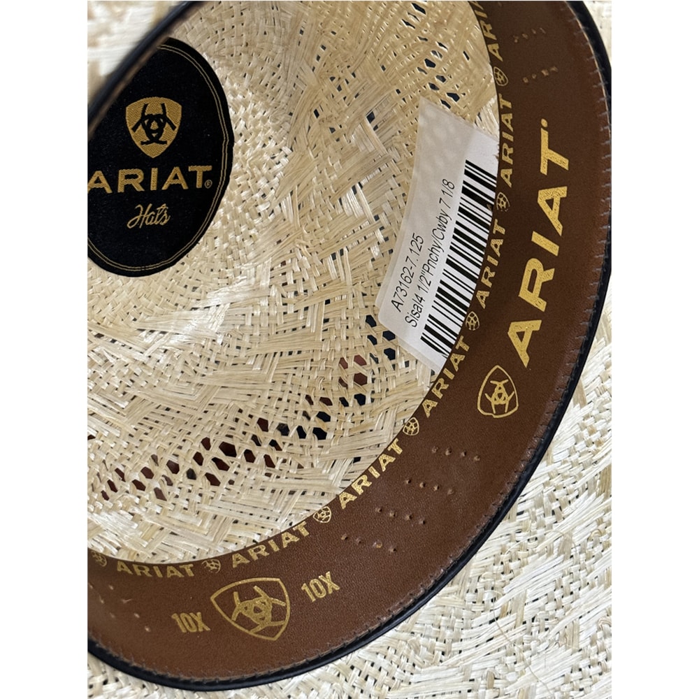 Diagramma di sicurezza e accesso Sisal con illustrazione di un cappello natural