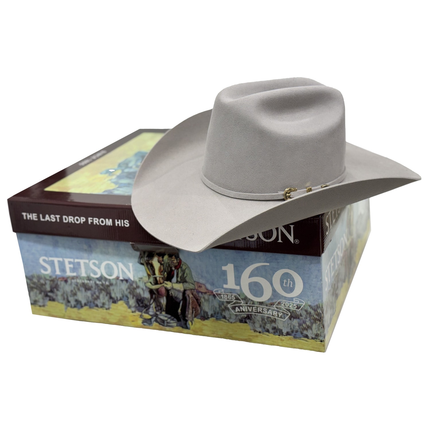 Chapéu Stetson Feltro 64434 Cinza Claro | Cris & Cia