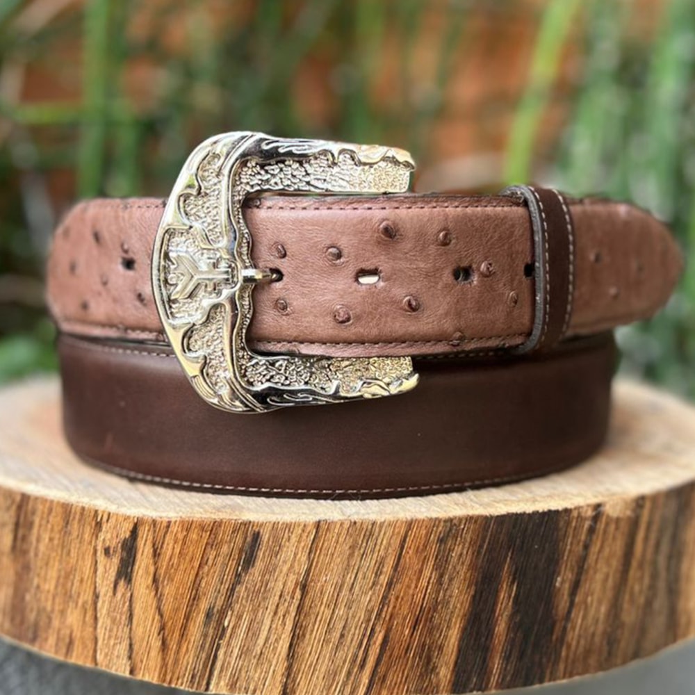 image_c90fb276-44d3-4c5f-b219-b31491482800