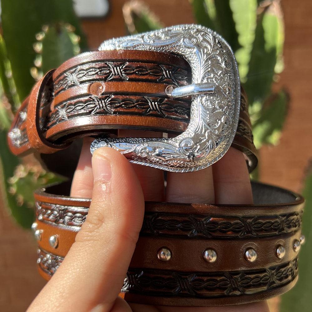 image_a9de2e34-fa06-4d22-9c64-51f4fa0ec95f