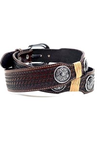 Cinto New Belts Country c/Margaridas Marrom 7704-2