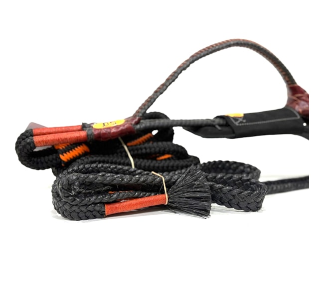 image_ee5b6c91-2ad9-4571-ba71-0aa98981fdbf