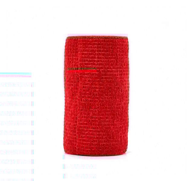 image_df84d96b-7ccc-4358-a847-ec003f7f5b42