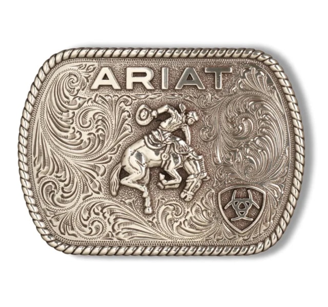 image_07d81d6e-32cc-4ee3-ae29-e0ce3af0caa9