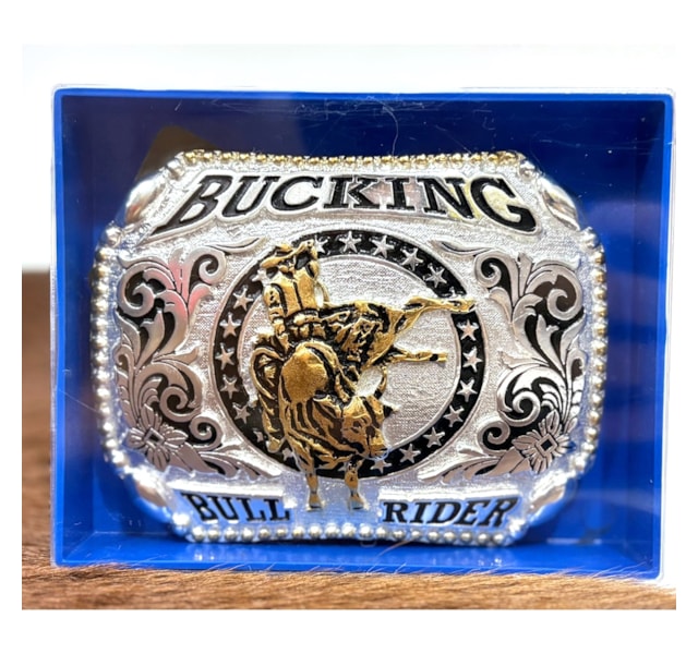 image_2e913b7b-9f9c-4e3d-a2d2-618cb9595b46