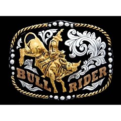 Fivela Master Bull Rider - 583