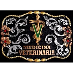Fivela Master Premium Veterinária 2334